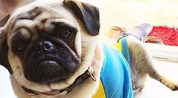  ทีมงานมืออาชีพของเรา พร้อมให้บริการในการ ออกแบบกราฟฟิกที่สวย งามและมีความสร้าง สรรค์ ตั้งแต่โลโก้, ป้ายไวนิล, สติ๊กเกอร์, นามบัตร, ฉลากสินค้า และอื่น ๆ