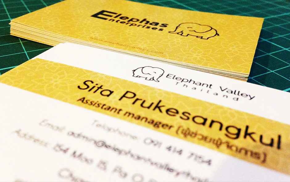 ผลงานนามบัตร 1 ปางช้าง 2