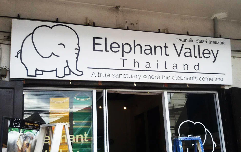 ผลงานของเรา