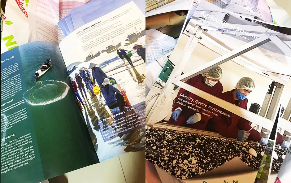 ผลงานออกแบบ2 รายงานประจำปี pathways2