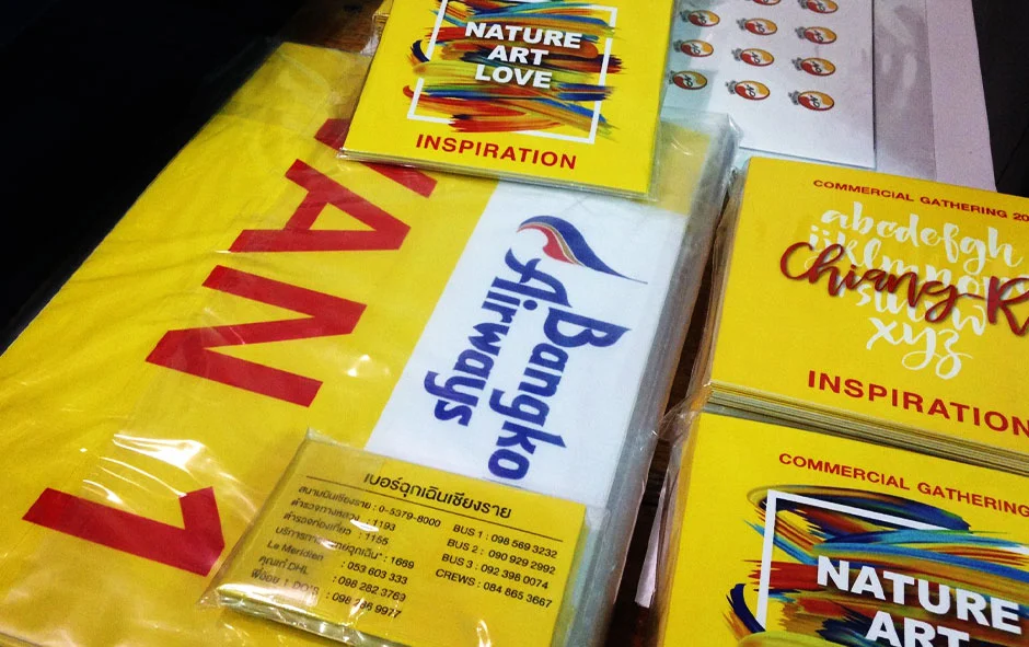 ผลงานไวนิลชุด1 thai airway1